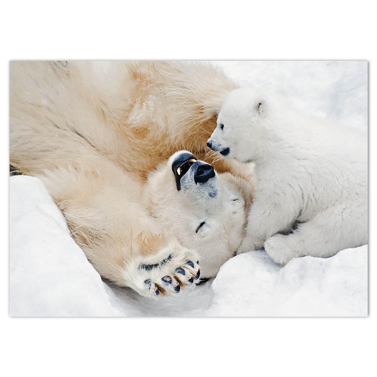 Polar Bear Play Card