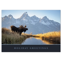 Bull Moose Card - NWF240007