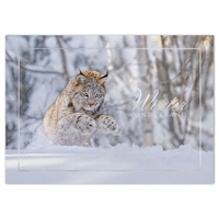 Lynx Card - NWF240011