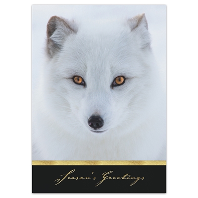 Arctic Fox Card