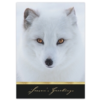Arctic Fox Card - NWF240012