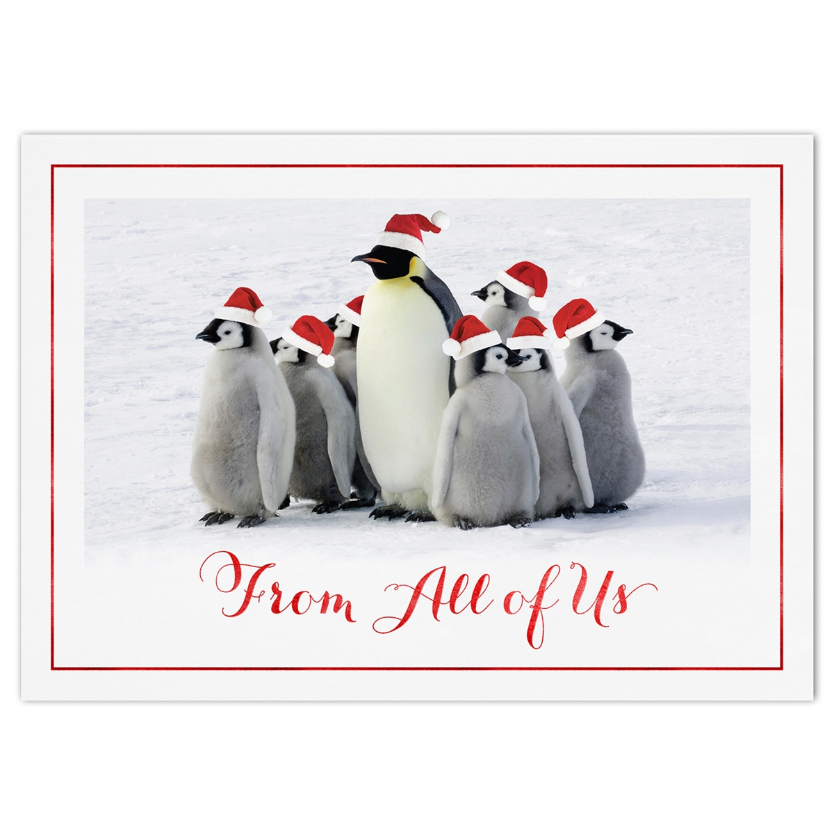 Holiday Waddle Card