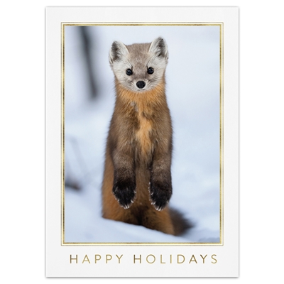 American Marten Card