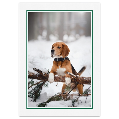 Holiday Beagle Card