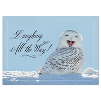 Snowy Owl Card - NWF240027