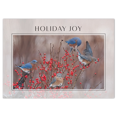 Eastern Bluebirds Card