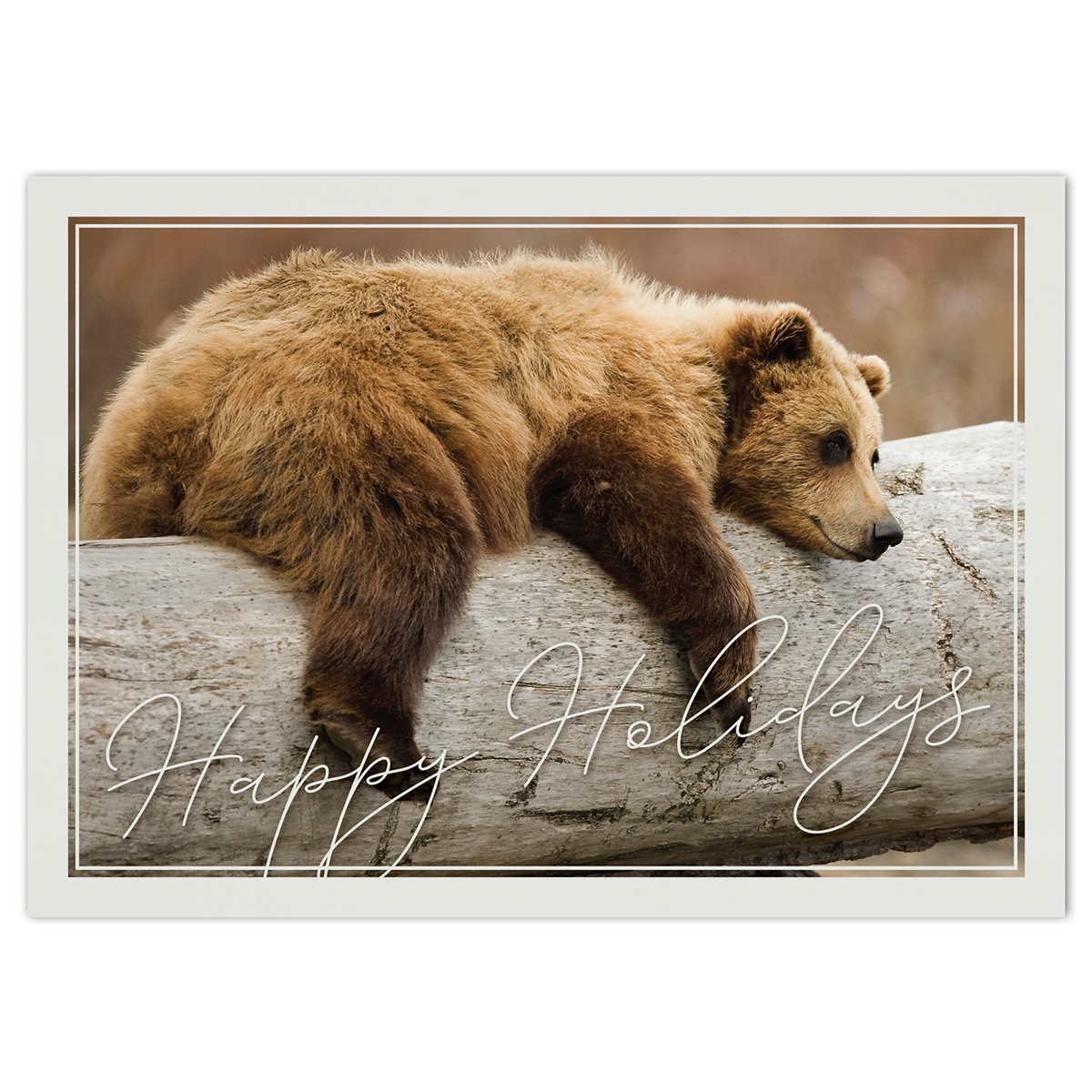 Trees for Wildlife Bear Card