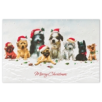 Christmas Canines Card - NWF98611