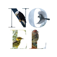 Noel Birds Seals - NWF26010S