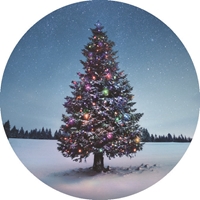 Christmas Tree on a Starry Night Seals - NWF26016S