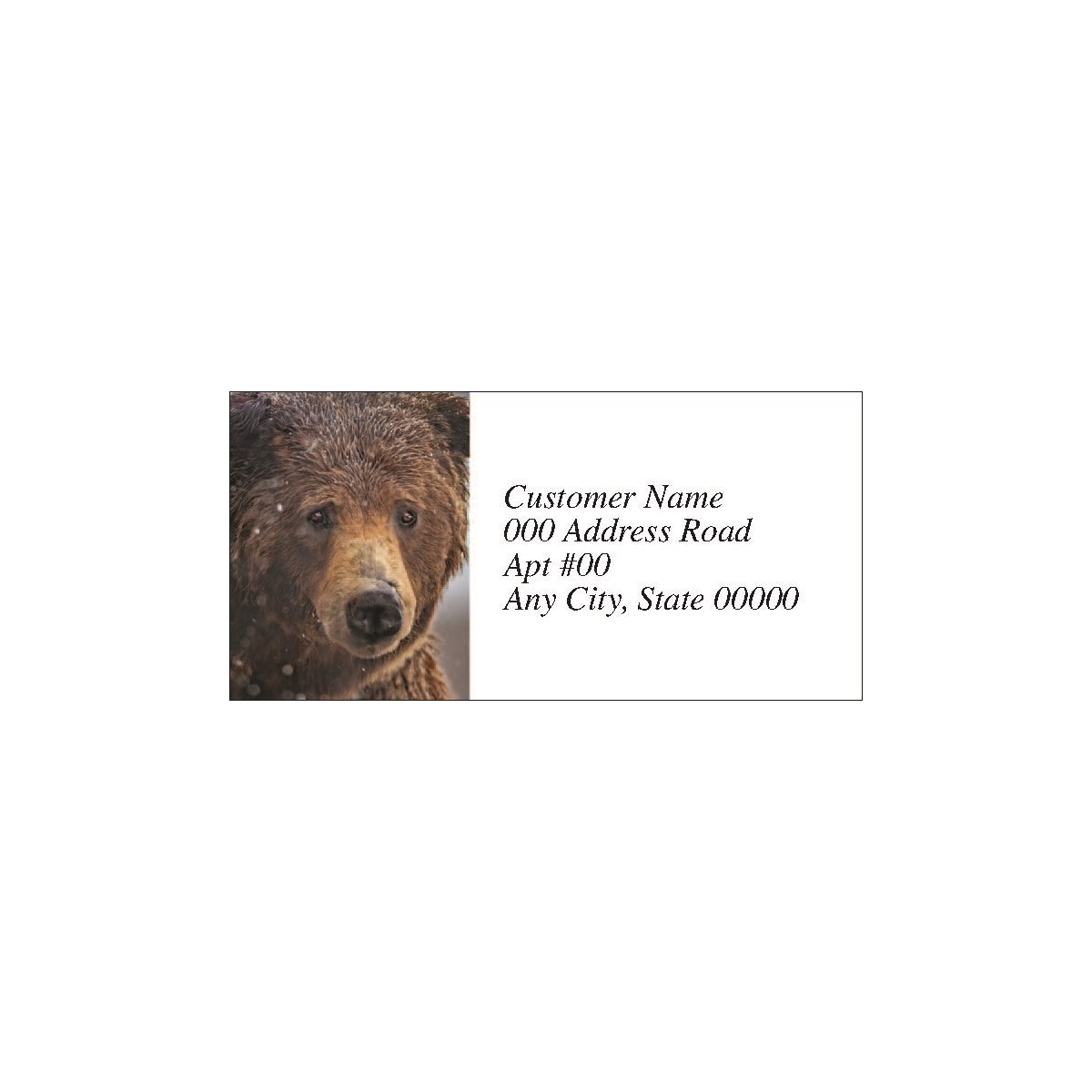 Grizzly Bear Labels