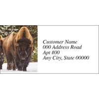 Bison Jam Labels - NWF26003AL