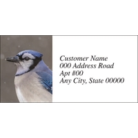 Blue Jay in the Snow Labels - NWF26004AL