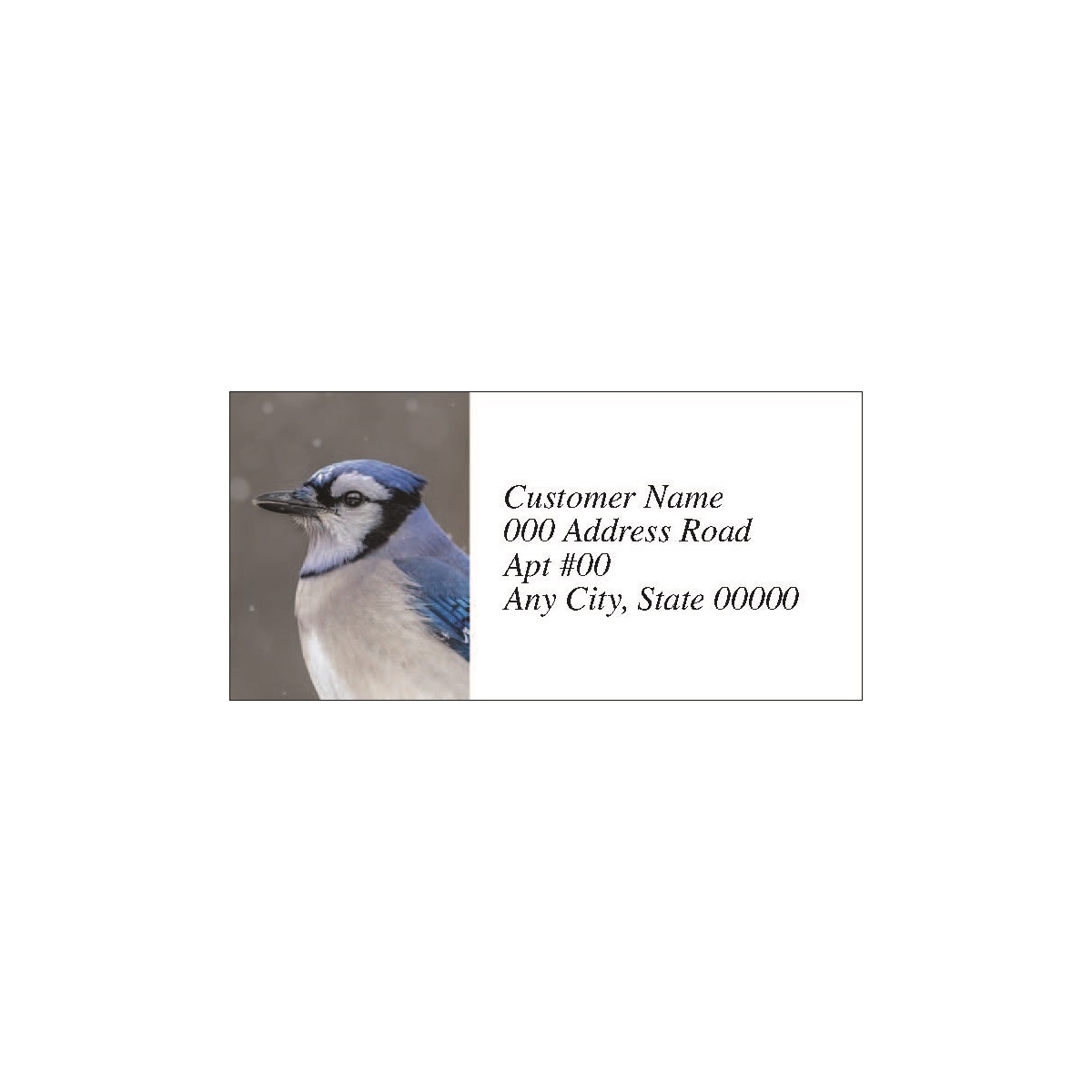 Blue Jay in the Snow Labels