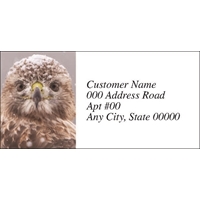 Red-Tailed Hawk in Winter Labels - NWF26005AL