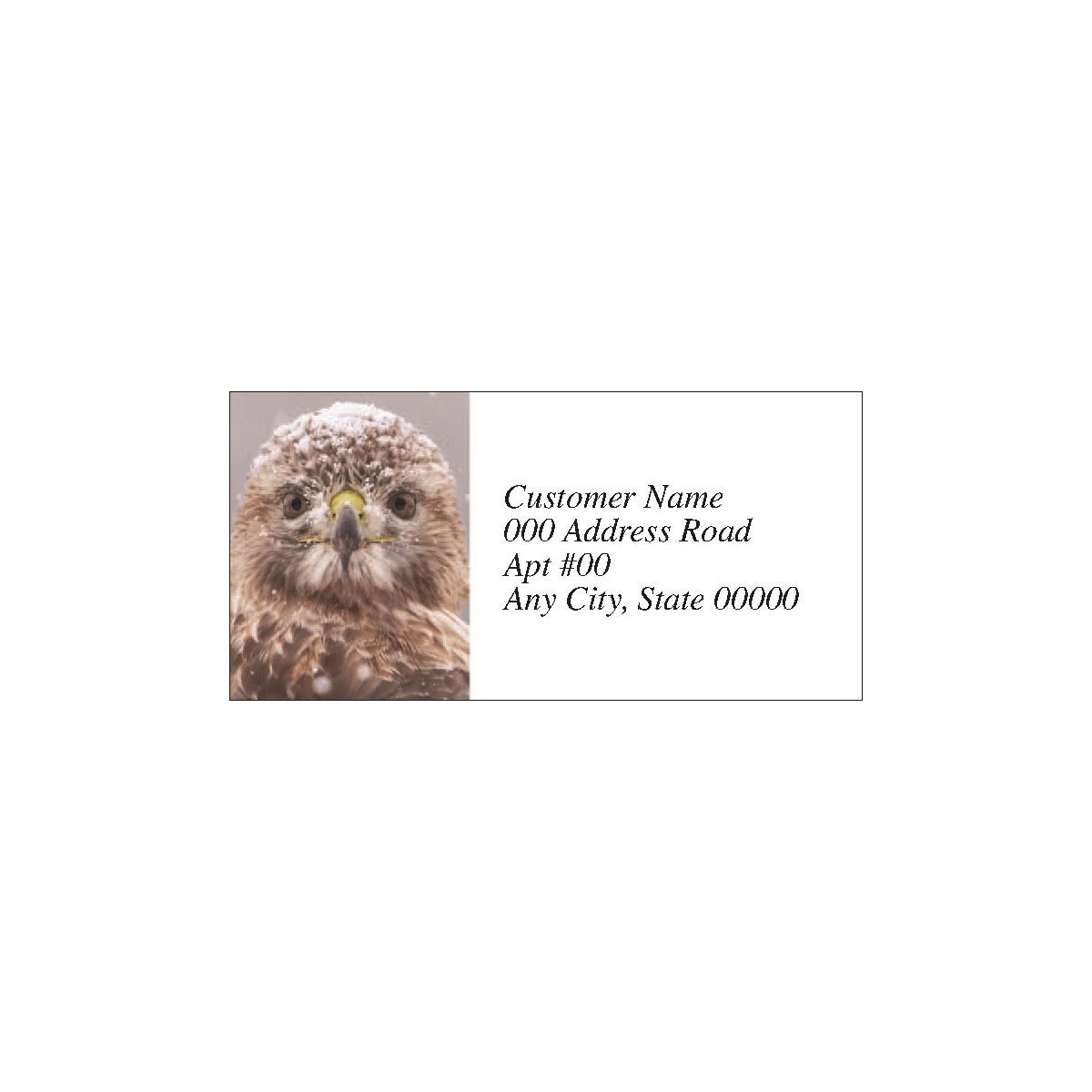 Red-Tailed Hawk in Winter Labels