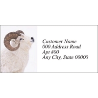 Dall Sheep Labels - NWF26006AL