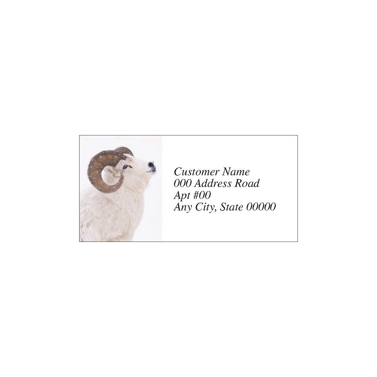 Dall Sheep Labels