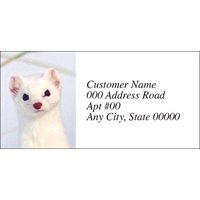 Ermine Labels - NWF26009AL