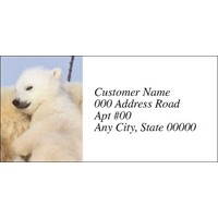 Winter Nap Labels - NWF26011AL