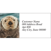 Sea Otter on Ice Labels - NWF26012AL