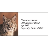 Bobcat in the Snow Labels - NWF26018AL