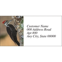 Pileated Woodpecker Labels - NWF26023AL