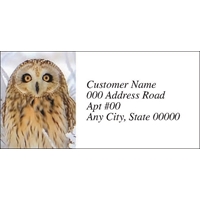 Short-Eared Owl in Snow Labels - NWF26024AL