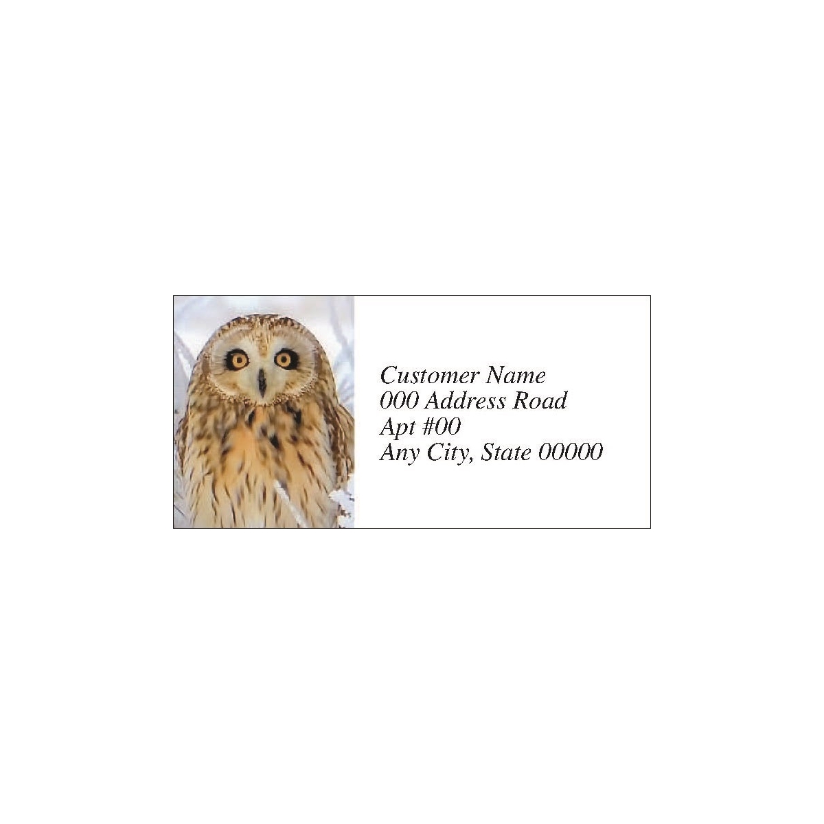 Short-Eared Owl in Snow Labels