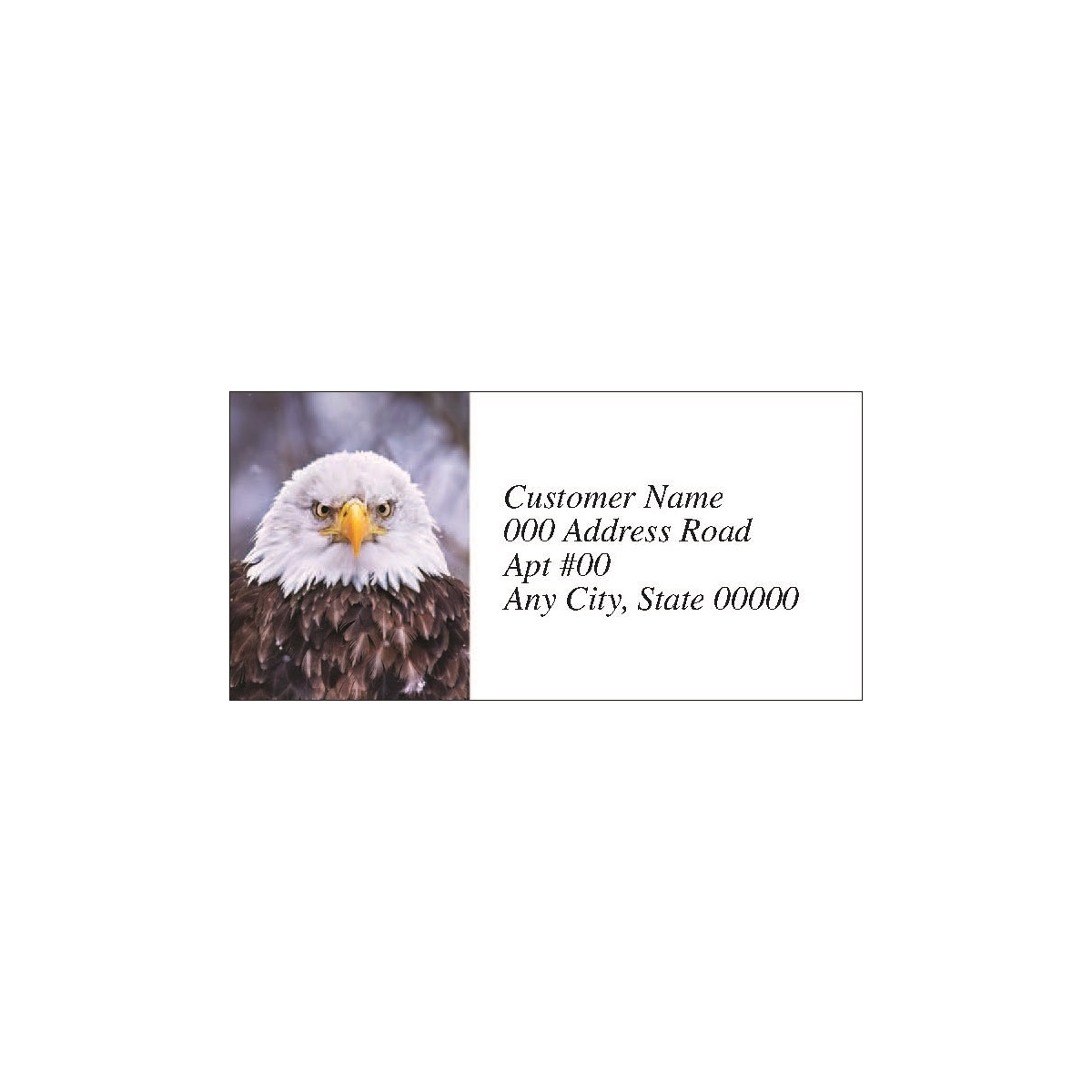 Bald Eagle Holiday Labels