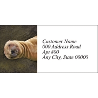 Napping Baby Seal Labels - NWF26026AL