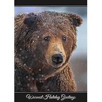 Grizzly Bear Card - NWF26001