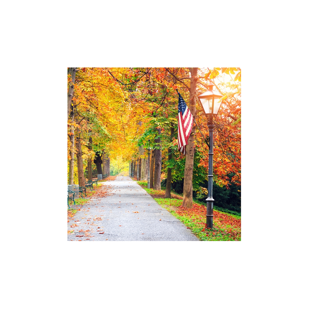 Patriotic Autumn Park Seals