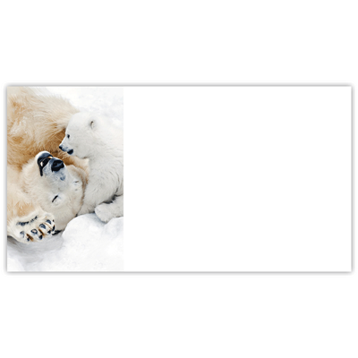 Polar Bear Play Labels