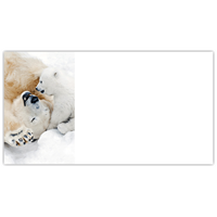 Polar Bear Play Labels - NWF240004AL