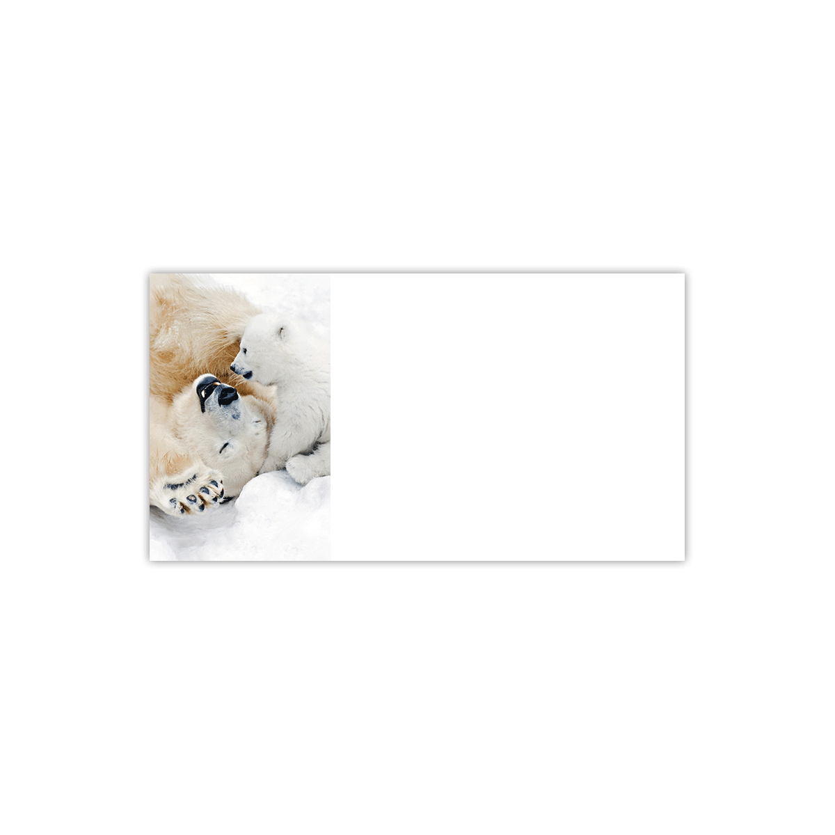 Polar Bear Play Labels