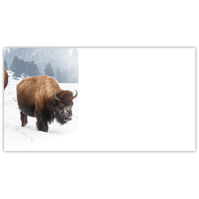 Yellowstone Bison Labels