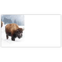 Yellowstone Bison Labels - NWF240010AL