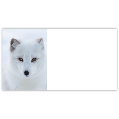 Arctic Fox Labels