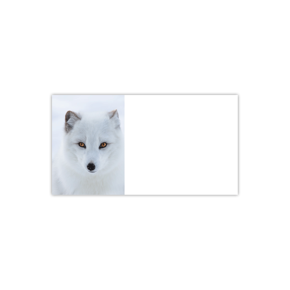 Arctic Fox Labels