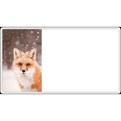 Red Fox in Falling Snow Labels