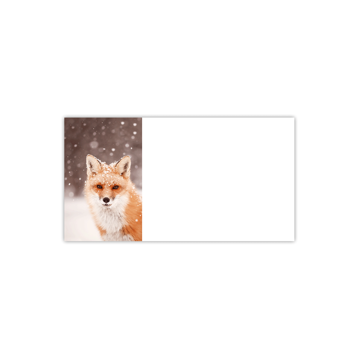 Red Fox in Falling Snow Labels