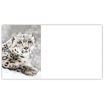 Snow Leopard Labels