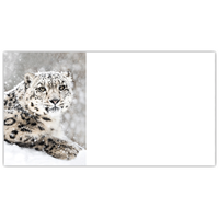 Snow Leopard Labels - NWF240015AL