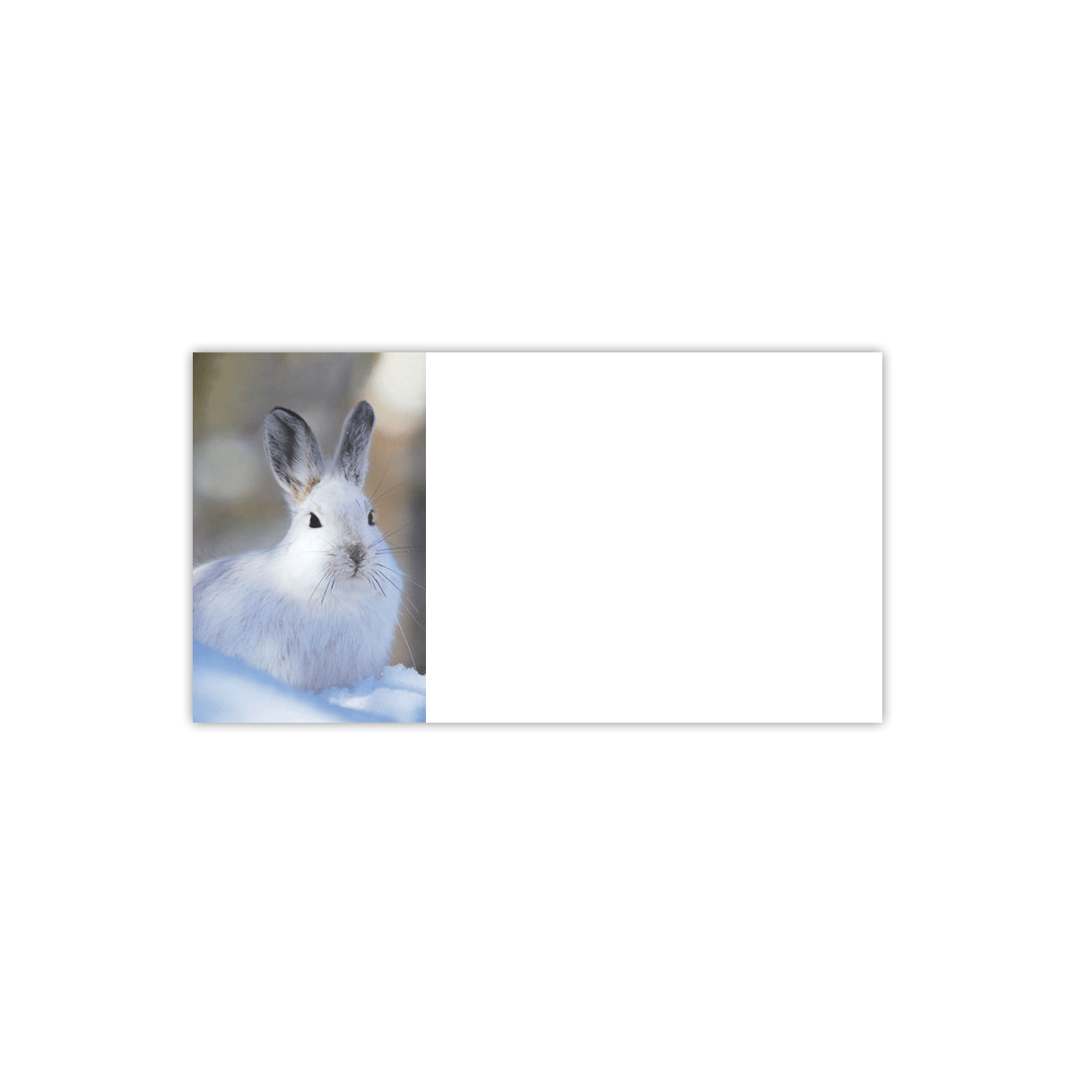 Snowshoe Hare Labels