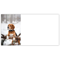 Holiday Beagle Labels - NWF240020AL