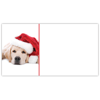 Christmas Dreams Labels - NWF240021AL