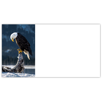 Bald Eagle Labels - NWF240022AL