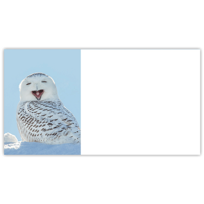 Snowy Owl Labels