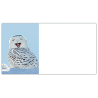 Snowy Owl Labels - NWF240027AL